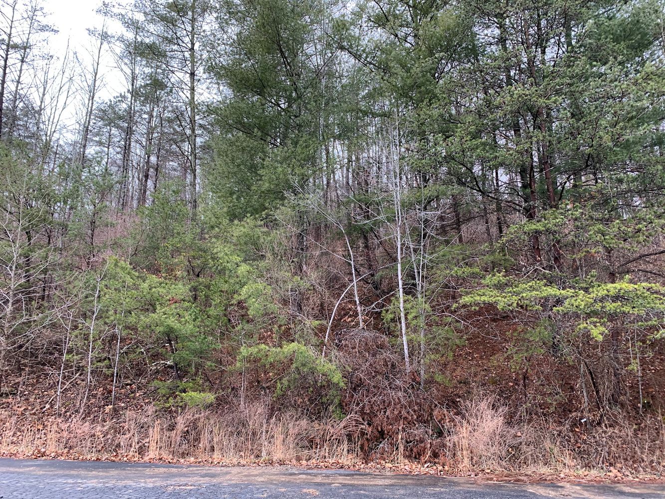 16341 State Rte 854, Rush, KY 41168